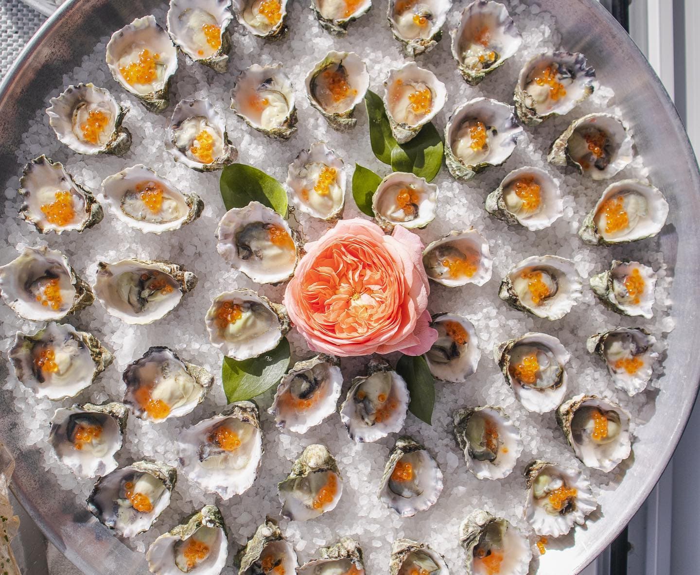 A platter of oysters on ice around an orange rose